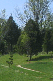 IMG_003333793_Copy34191.gif