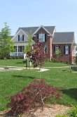 IMG_004233790_Copy34192.gif